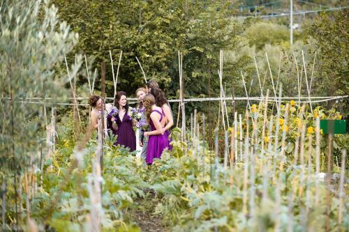 Agroturismo Agriturismo Fattoria Terranova