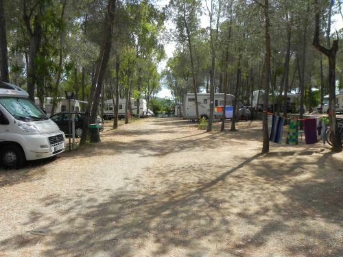Camping Lacona