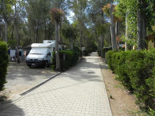 Camping Lacona