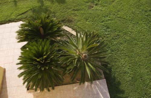 Apartamento Villa Ivana