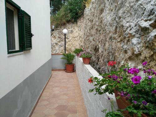 B&B Peschici