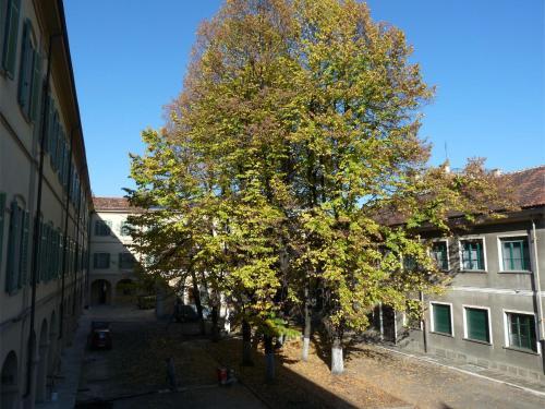 Apartamento Housing Giulia