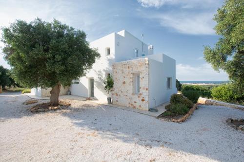 Villa Butterfly