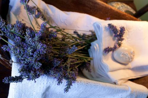 Bed & Breakfast Borgo Fonte Scura