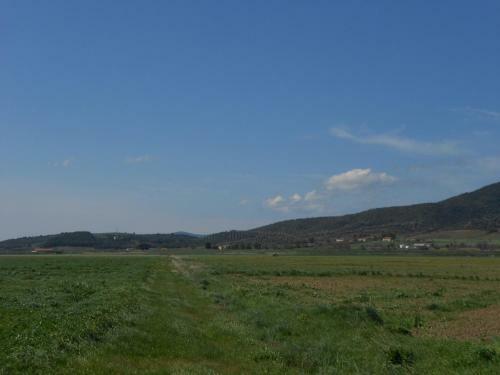 Agroturismo Agriturismo Le Querci