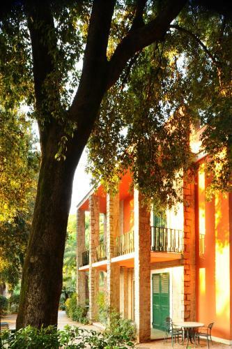Hotel Camping Village Rosselba Le Palme