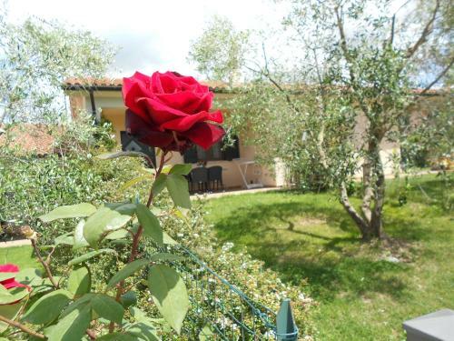 Agroturismo Poggio Degli Olivi