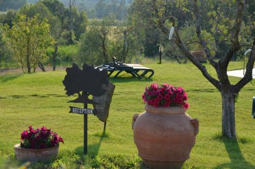 Agroturismo Poggio Degli Olivi