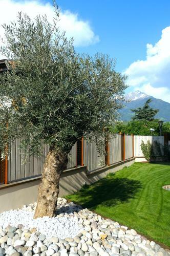 Aparthotel Alia Vital Appart-hotel