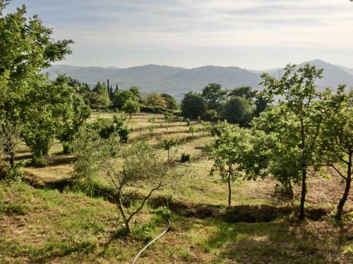 Agroturismo Agriturismo Cuca