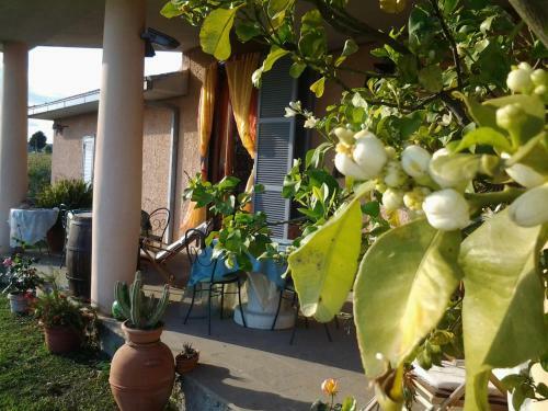 Bed-breakfast Villa Di Judighes