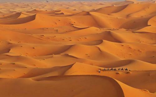 Merzouga Bivouac Excursion