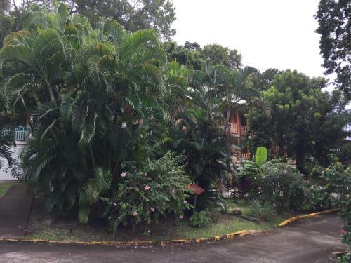 Apartamento Appartement Na�la