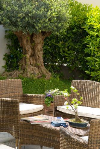 B&B Certe Notti