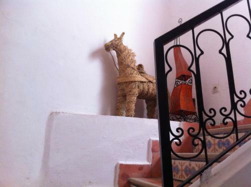 Riad Lalla Zina