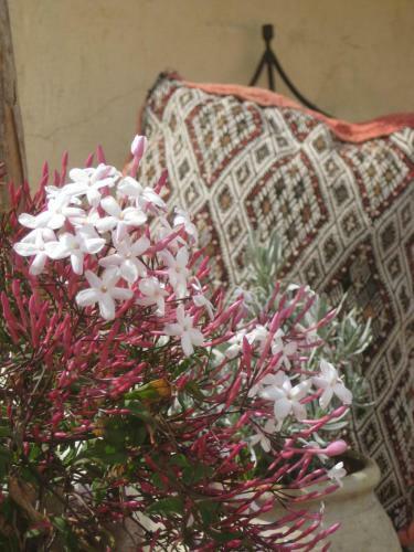 Riad Dar Houdou