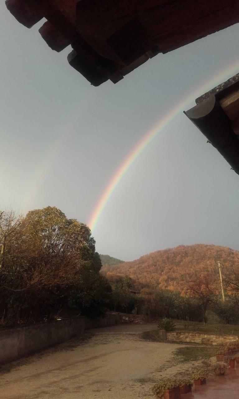 Agroturismo B&B Colle San Francesco