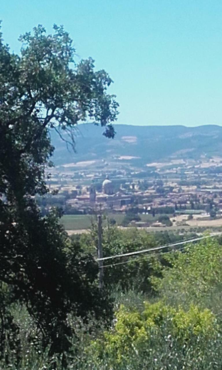 Agroturismo B&B Colle San Francesco