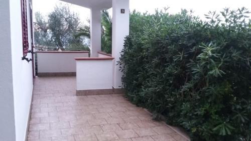 Bed & Breakfast Villa Celeste Apartments Vieste -