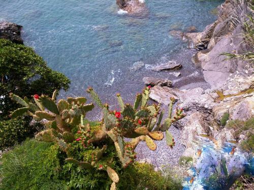 Le Case Di Recco