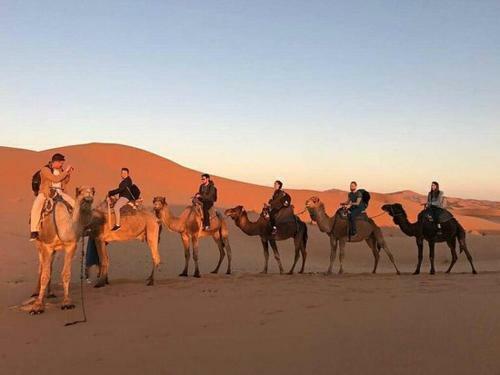 Shooting Star Luxury Camp