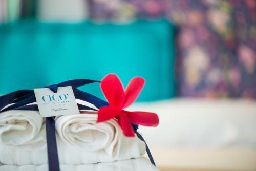Hotel Cic�