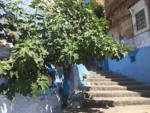 Hostal La Petite Chefchaouen