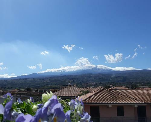 Bed & Breakfast La Mia Dolce Casa
