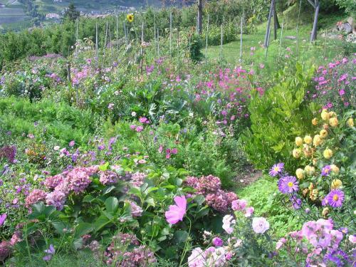 Bed & Breakfast Pension Laurin
