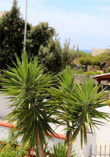 Bed & Breakfast Villa Piana