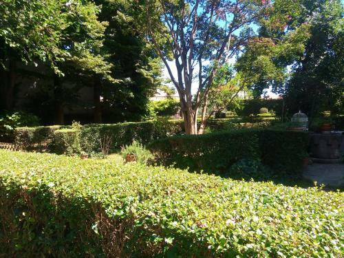 Bed & Breakfast Villa Allegri Von Ghega