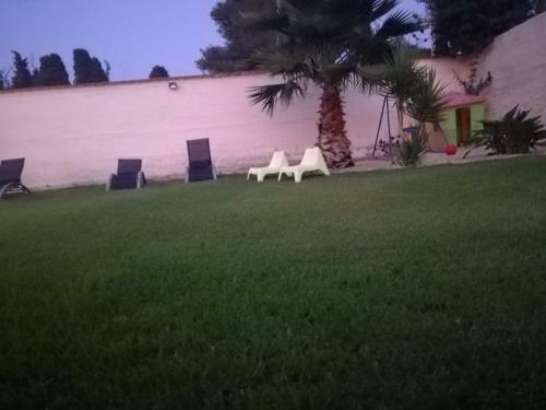 Bed & Breakfast La Casa Delle Farfalle
