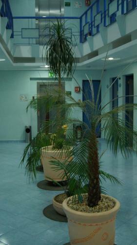 Hotel Muy - Adults-only