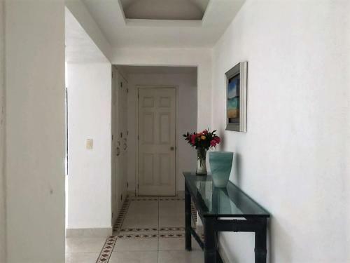 Apartamento Pent House Condo In Acapulco