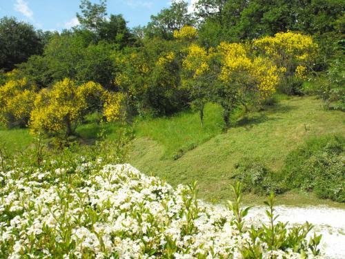 Apartamento Casa Vacanze Borgo La Fratta