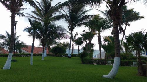 Aparthotel Apartment Ocean Front Cancun