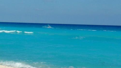 Aparthotel Apartment Ocean Front Cancun