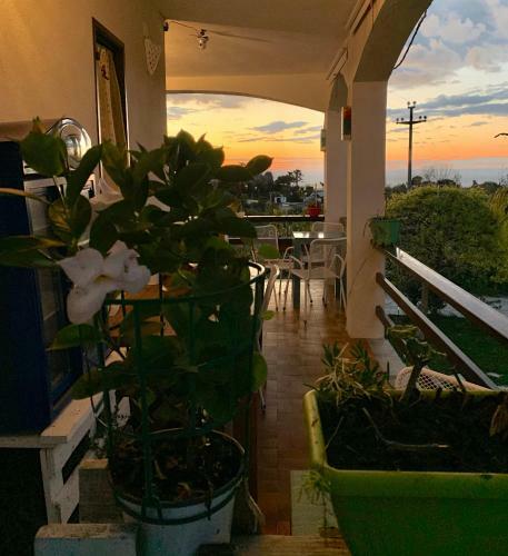 B&B A Casa Di Picci
