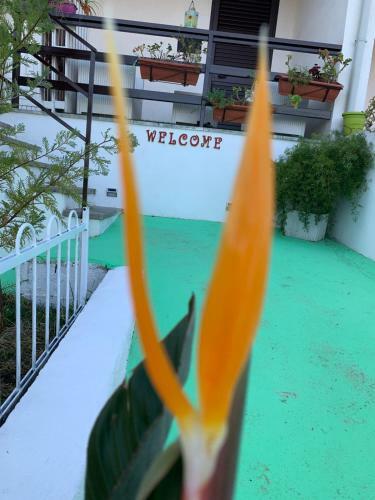 B&B A Casa Di Picci
