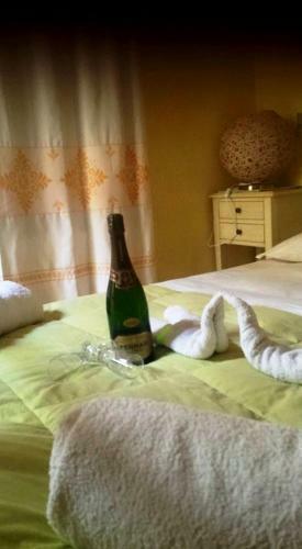 B&B Belvedere