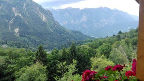 Bed & Breakfast Maso Weiss
