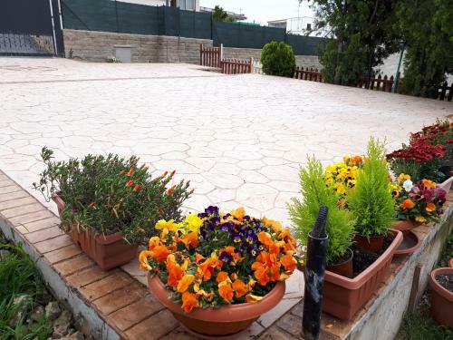 Bed And Breakfast Angolo Fiorito