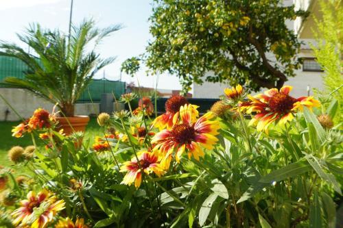 Bed And Breakfast Angolo Fiorito