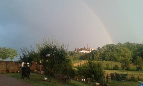 B&B La Coccarda