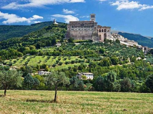 Agroturismo Agriturismo Il Girasole Assisi
