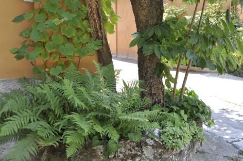 Apartamento La Terrazza In Conti Biglia