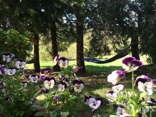Villa Agriturismo Podere Giuncarelli