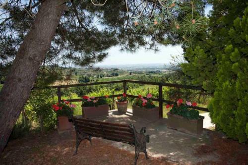 Villa Agriturismo Podere Giuncarelli
