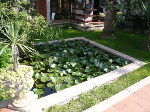 Oasi Holiday Home