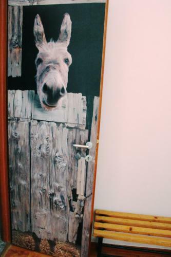 B&B Camelot
